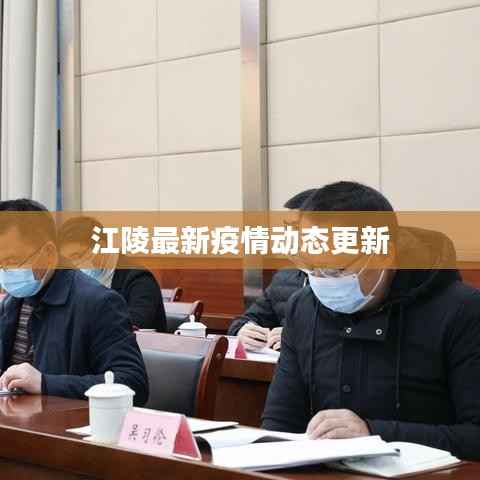 江陵最新疫情动态更新