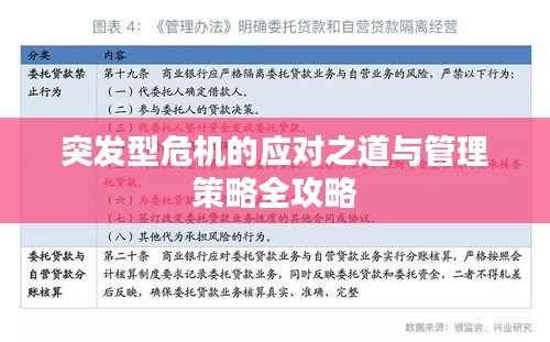 突发型危机的应对之道与管理策略全攻略