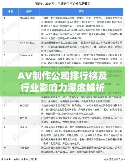 AV制作公司排行榜及行业影响力深度解析