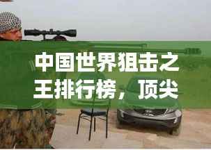 中国世界狙击之王排行榜，顶尖狙击手震撼榜单！