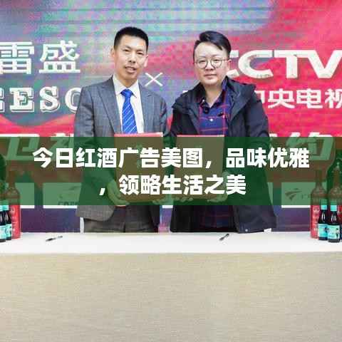 今日红酒广告美图,品味优雅,领略生活之美