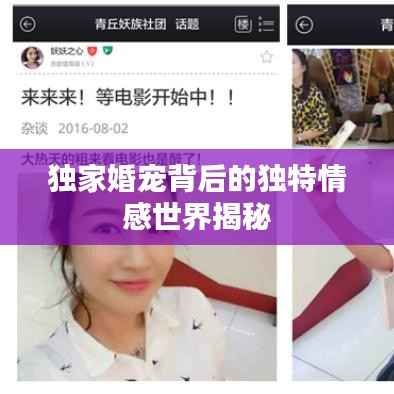 独家婚宠背后的独特情感世界揭秘