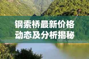 钢索桥最新价格动态及分析揭秘