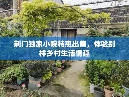 荆门独家小院特惠出售,体验别样乡村生活情趣