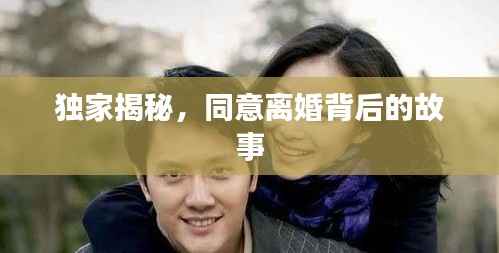 独家揭秘,同意离婚背后的故事